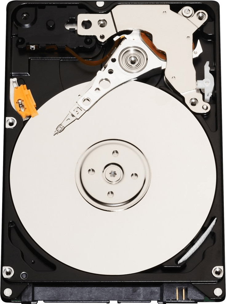 Wd10jpvt 2025