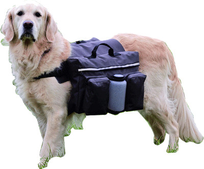 Karlie Sacoche Authentic Dog Sport S