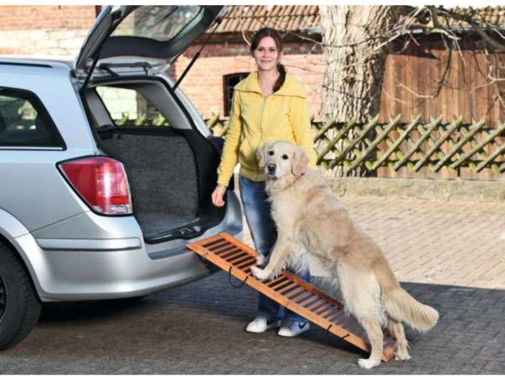 relaxdays dog ramp pliable - rampe pour chien pour voiture