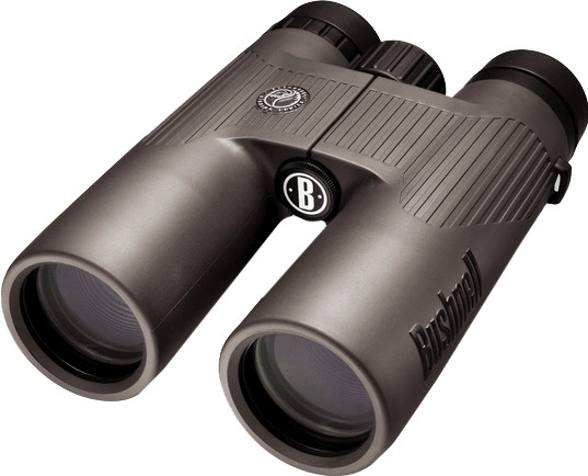 Bushnell NatureView 10x42 en toit