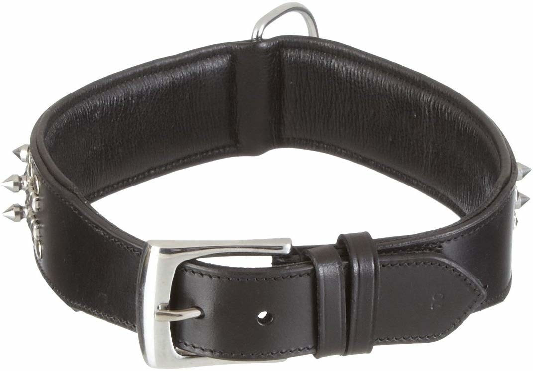Nobby Collier pour chien Nobby Collier pour chien