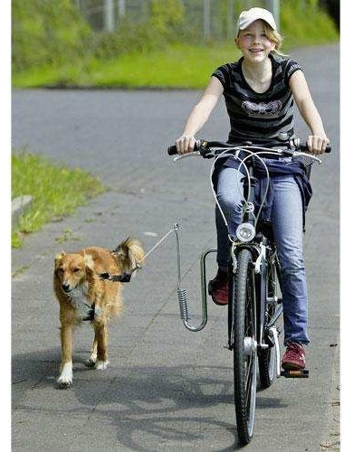 Karlie Guide Doggy
