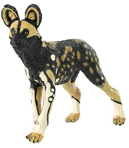 Safari Lycaon (239729)