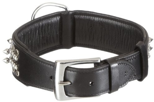 Nobby Collier pour chien 55 cm / 50 mm Nobby Collier pour chien 55 cm / 50 mm