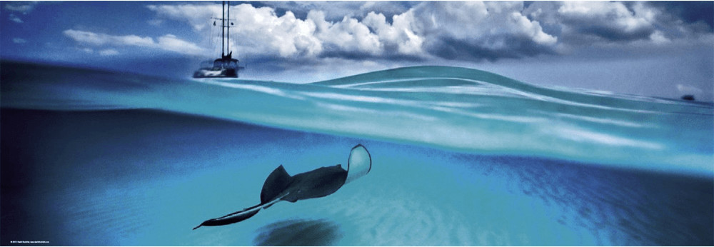 Heye Alexander von Humboldt: Stingray (1.000 pièces)