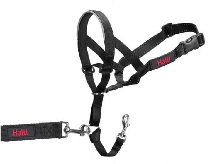 Halti Licol pour chien Size 2 38-45cm Black Halti Licol pour chien Size 2 38-45cm Black