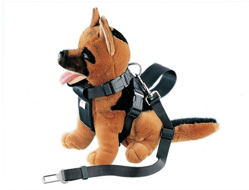 Nobby Dog harness XL