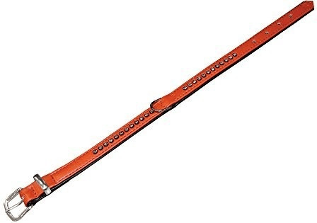 Nobby Collier pour chien Crystal (27 cm / 12/14 mm)