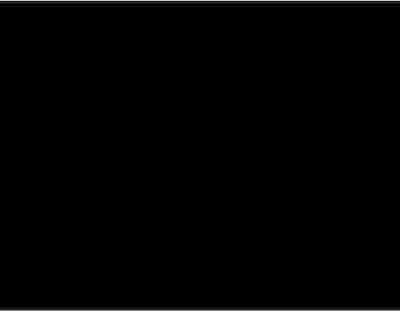 Falcon Eyes Background Cloth 2.7x7m BCP-102