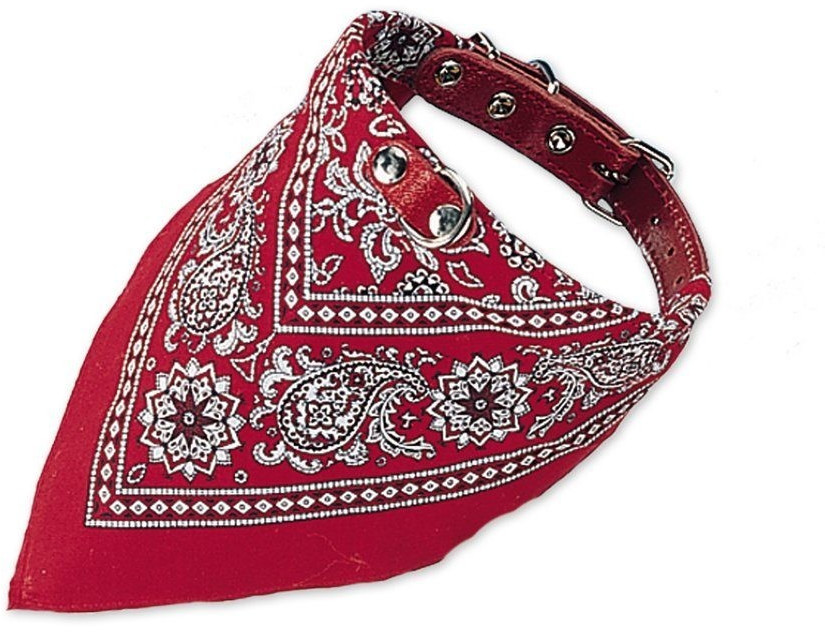 Nobby Dog collar (50 cm)