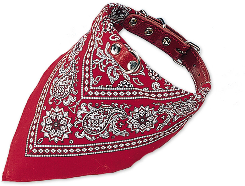 Nobby Collier pour chien 55 cm