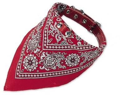 Nobby Collier pour chien 55 cm