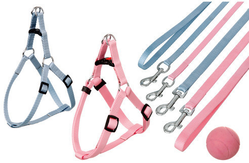 Karlie Set complet Puppy (15 mm / 25-45 cm)