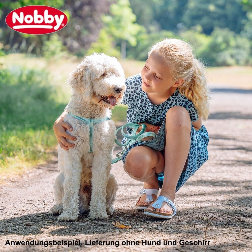 Nobby Laisse classique pour chien 200cm x 15mm Nobby Laisse classique pour chien 200cm x 15mm