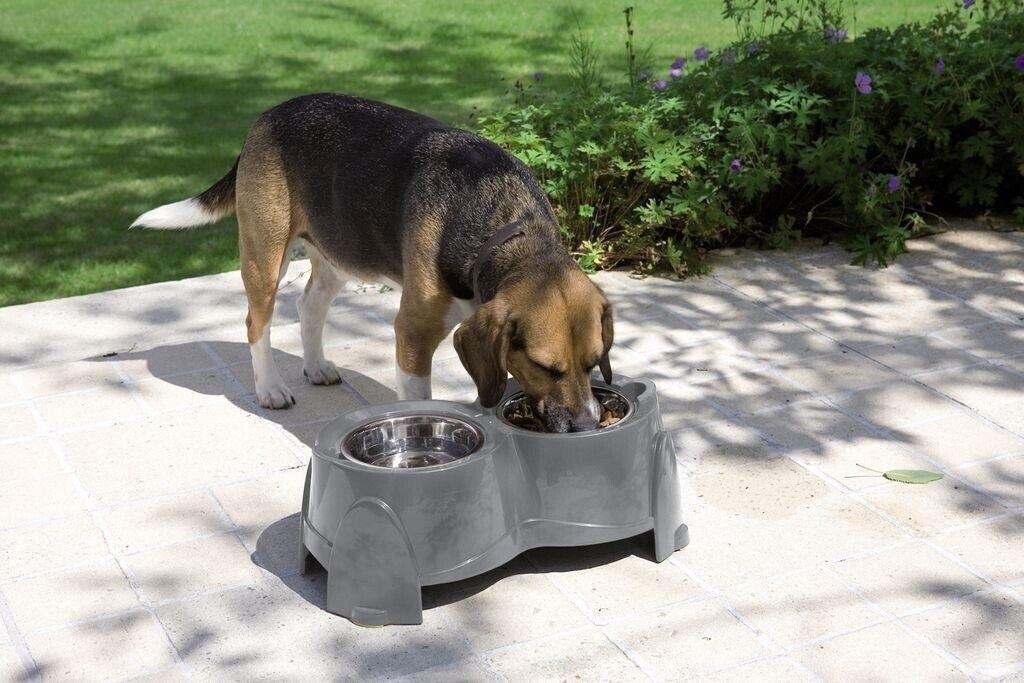 Savic Gamelle double pour chien Savic Gamelle double pour chien