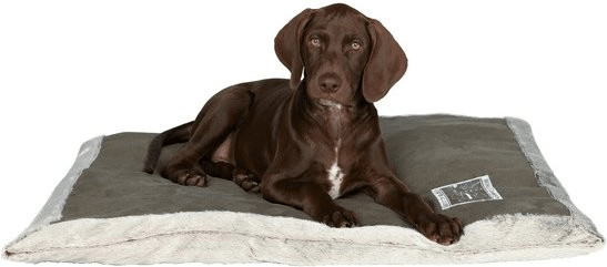 Trixie Coussin Best of all Breeds (60 × 50 cm)