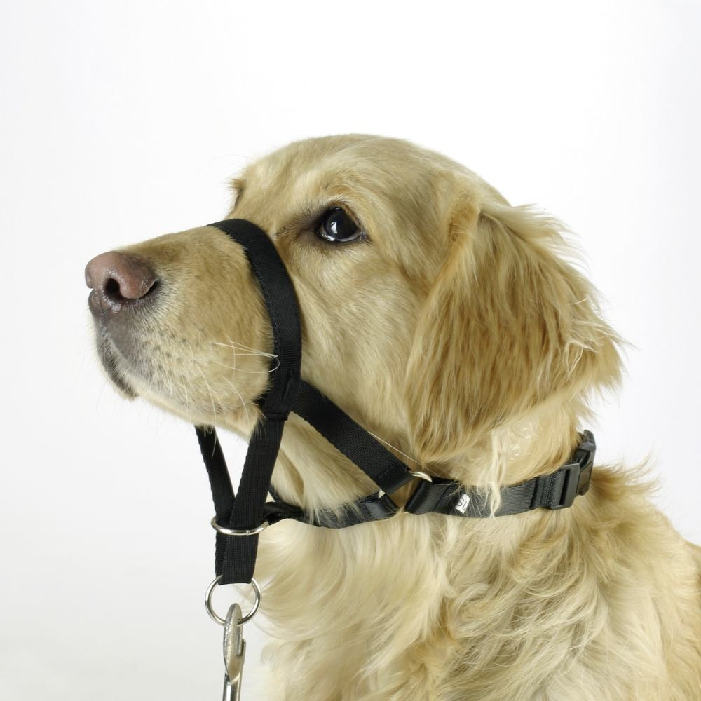 Kerbl Harnais pour chien 83315 Kerbl Harnais pour chien 83315