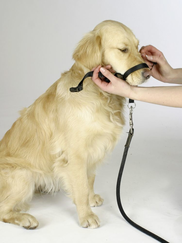 Kerbl Harnais pour chien 83315 Kerbl Harnais pour chien 83315
