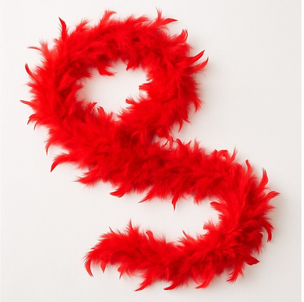 Accessoires Echarpe Boa Boa Echarpe En Plume Plume Blanche Moelleuse De  Yards Boa, Plumes