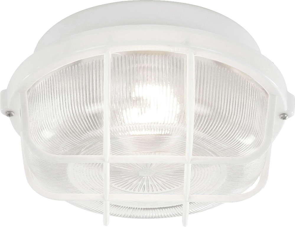 Globo Philipp (31311)