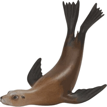 Safari Lion de mer californien (225029)