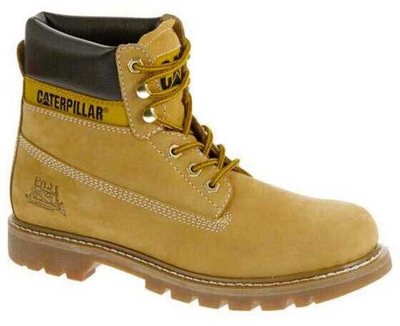 Caterpillar top colorado honey