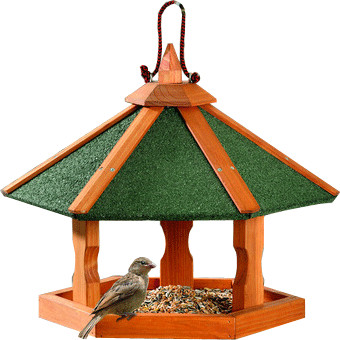 Karlie Wild Bird House Rena
