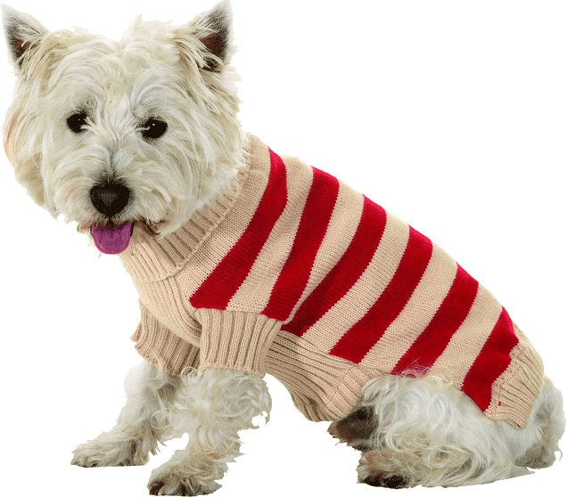 Karlie Pull pour chien Casual