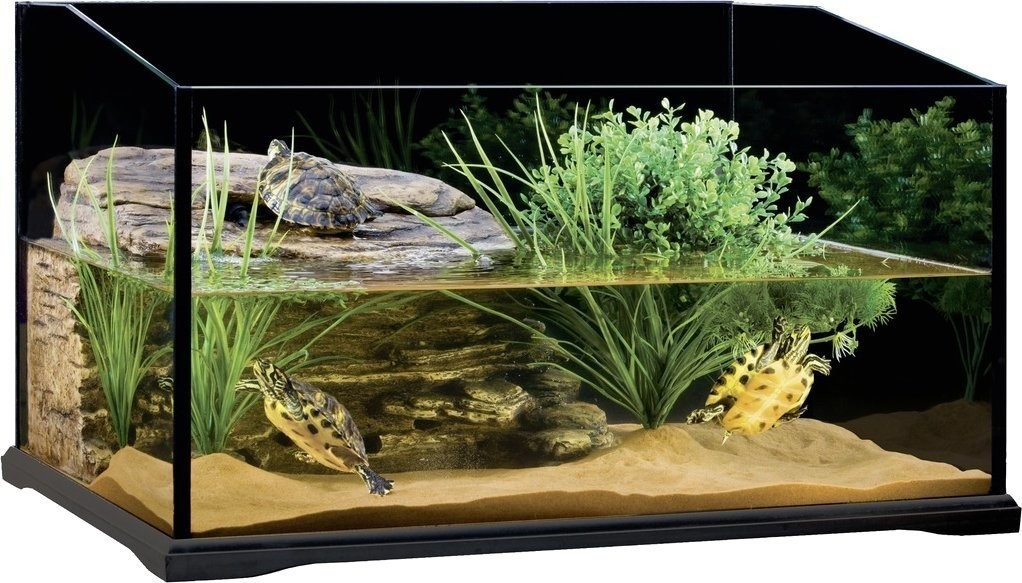 Exo Terra Turtle Terrarium 60 x 45 x 35 cm (PT3750)