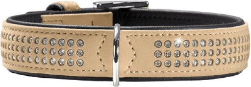 HUNTER Collier pour chien HUNTER Collier pour chien