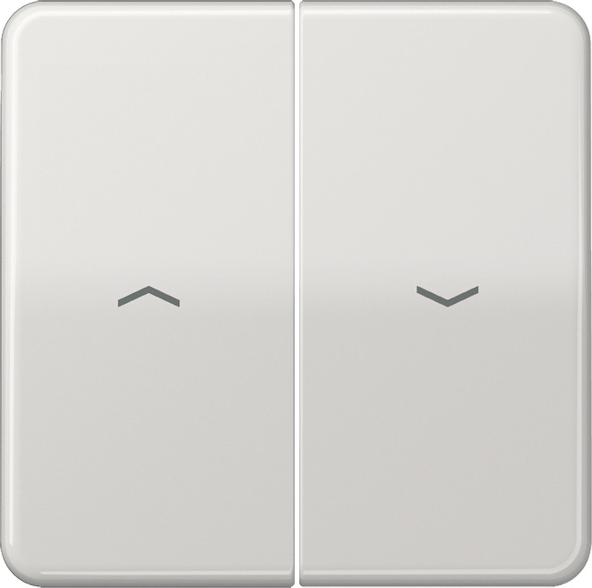 Jung CD595PLG