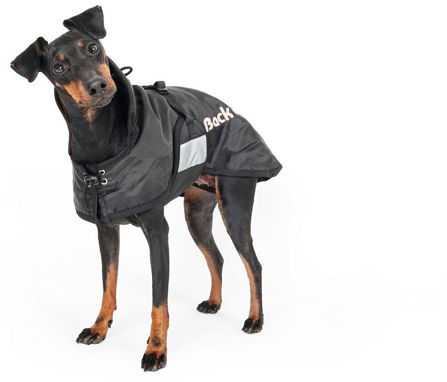 Back on Track Manteau pour chien Back on Track Manteau pour chien