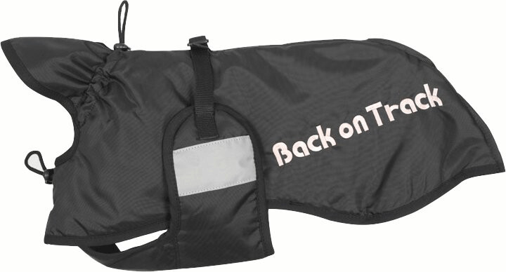 Back on Track Dog Rug