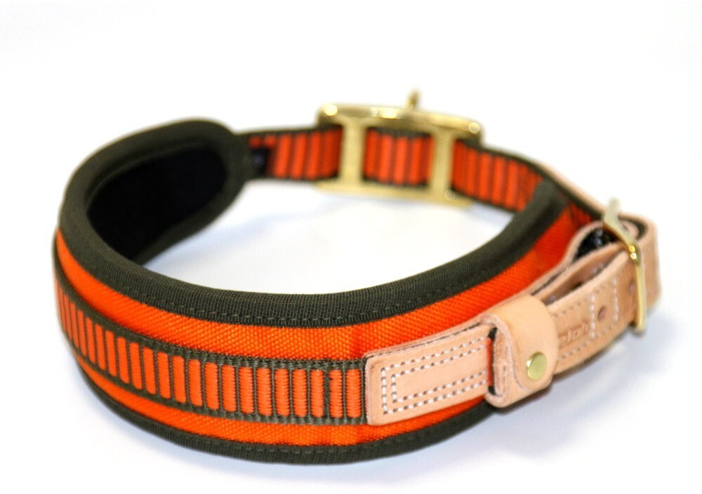 Niggeloh Collier pour chien 30 Niggeloh Collier pour chien 30