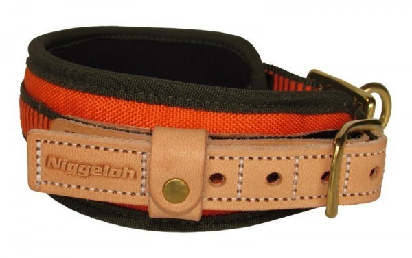 Niggeloh Collier pour chien 48 Niggeloh Collier pour chien 48