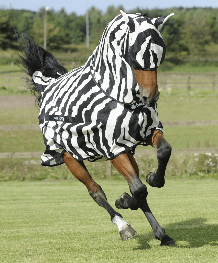 Bucas Buzz Off Zebra Full Neck
