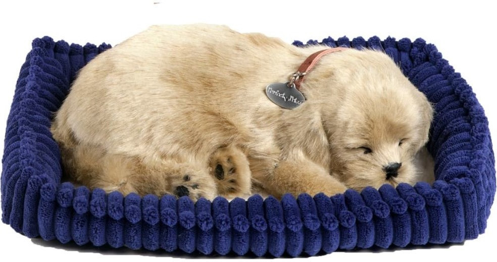 CD3 Perfect Petzzz - Chiot Golden Retriever 25 cm
