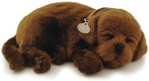 Perfect petzzz chien shop