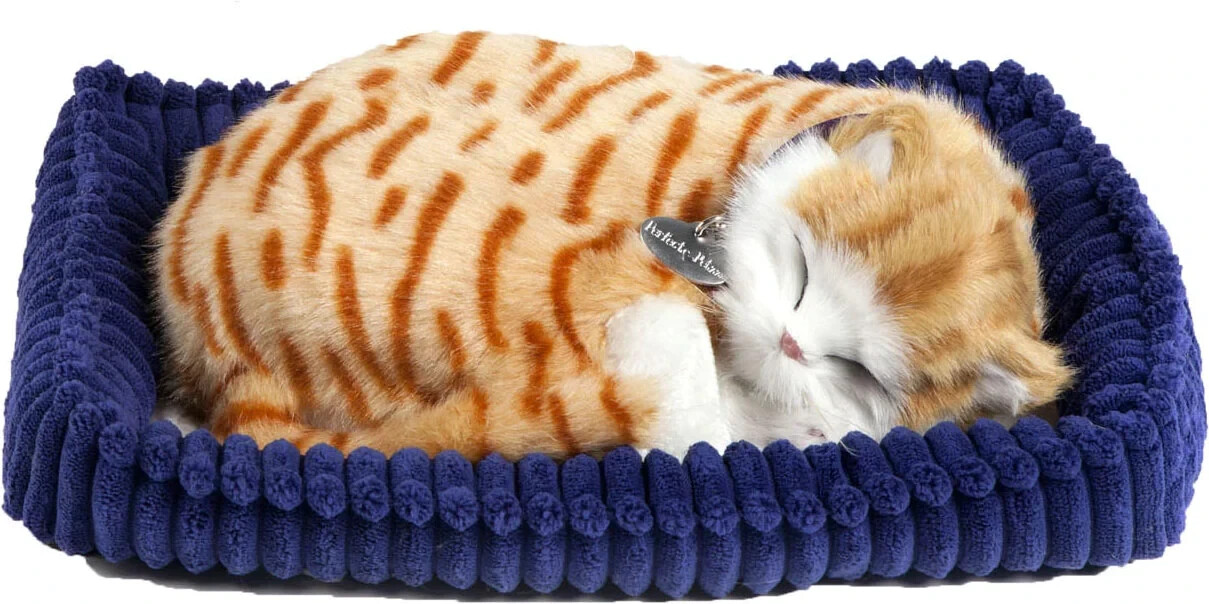 Perfect petzzz store orange tabby