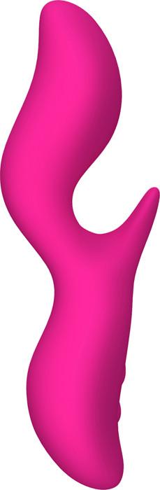 Swan The noirSwan