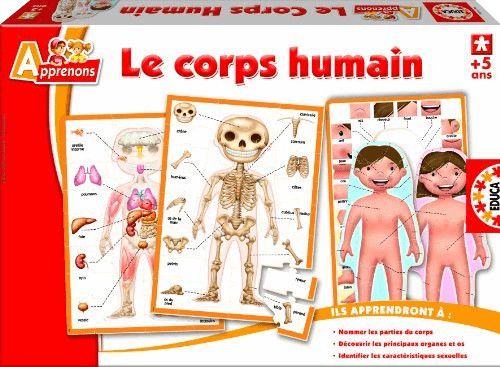 Educa Borrás Le corps humain