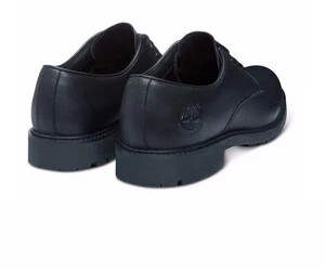 timberland men's stormbuck plain toe waterproof derby