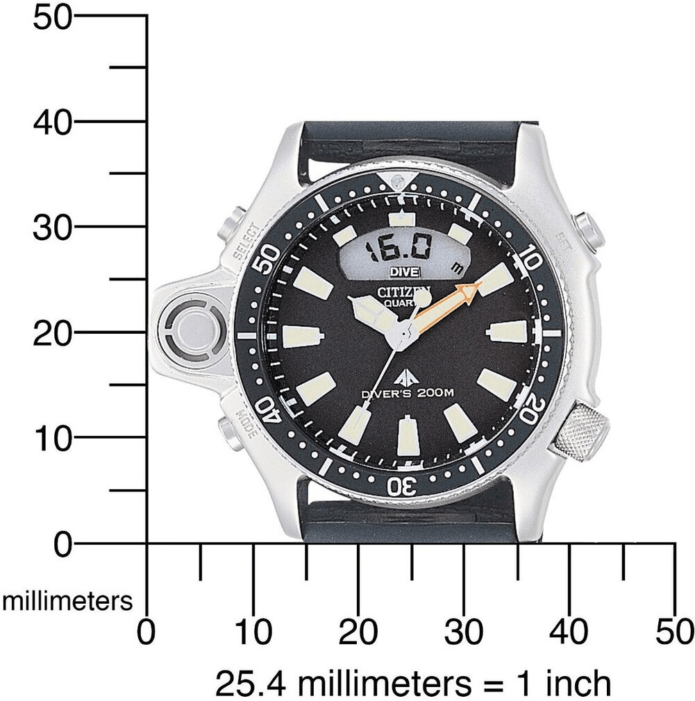 Citizen Promaster Sea JP2000 08E ab 324 09 Preisvergleich bei idealo