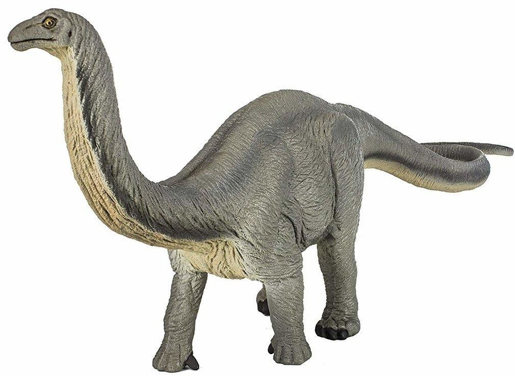 Safari 300429