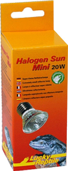 Lucky Reptile Halogen Sun Mini 20 W 2 pièces