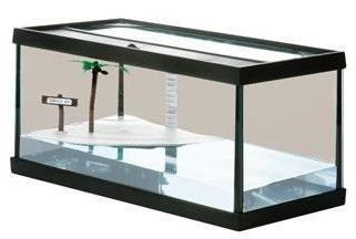 Flamingo Bac à tortue Turtles Bay M 52 x 26 x 25 cm (405592)