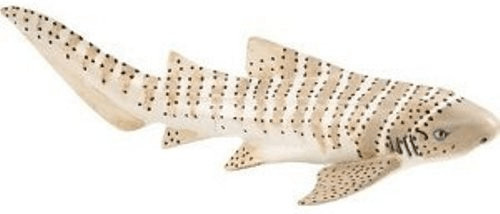 Safari Requin zébre (223329)