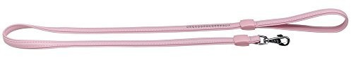 Ferplast laisse Lux (12 mm / 120 cm)
