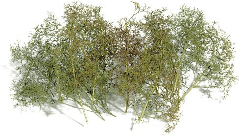 Busch Model Assortiment pour construire des arbres et buissons (6801)