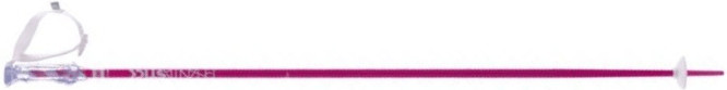 Völkl Phantastick